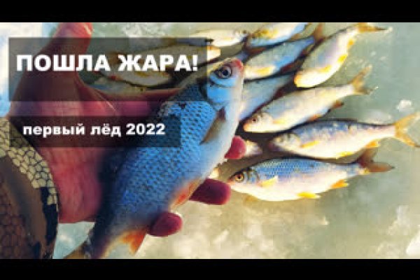 Кракен купить гашиш