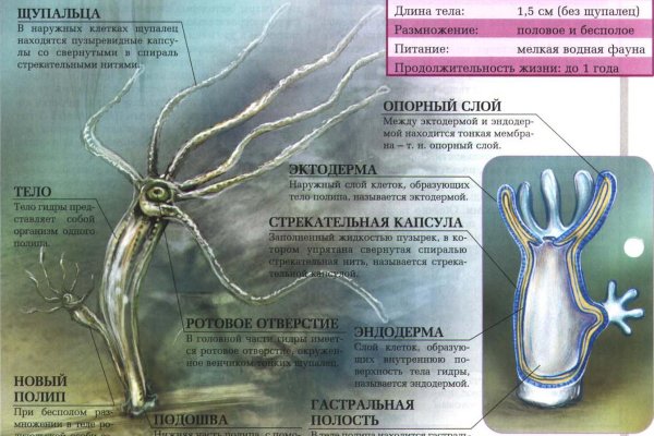 Кракен ссылку где