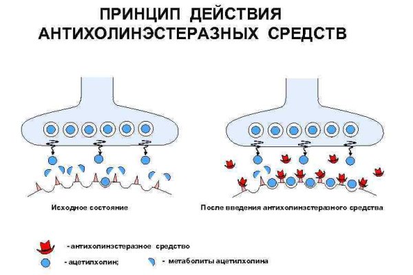 Кракен маркет это